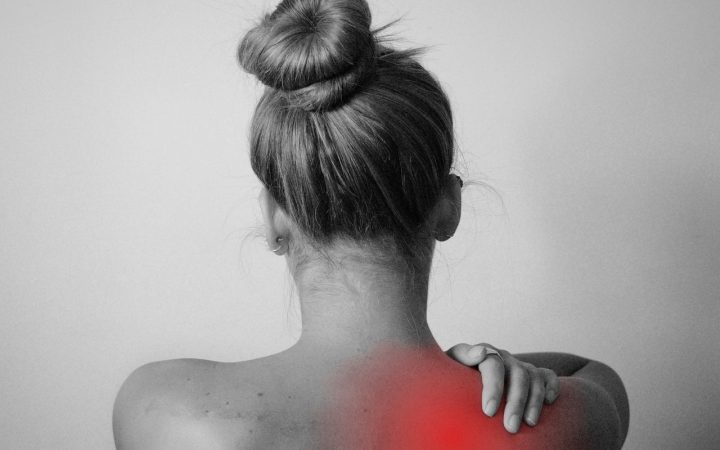 back-5163495_1280